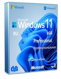 Windows 11 Professional VL x64 25H2 RU by OVGorskiy 10.2025