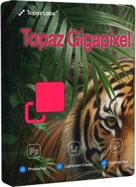 Topaz Gigapixel 1.0.3 + models Portable by 7997