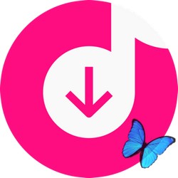 4K Tokkit 25.4.1.1070 Pro RePack (& Portable) by elchupacabra