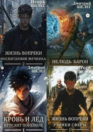 Игорь Шелег, Дмитрий Шелег | Сборник произведений [30 книг] (2013-2025) [FB2]